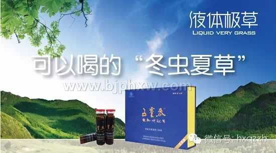 補氣血 增強免疫力 補腎功效產(chǎn)品--五靈參口服液