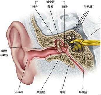 醫(yī)療機械助聽器