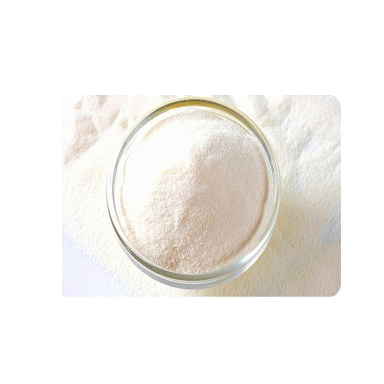 駝乳蛋白質(zhì)粉