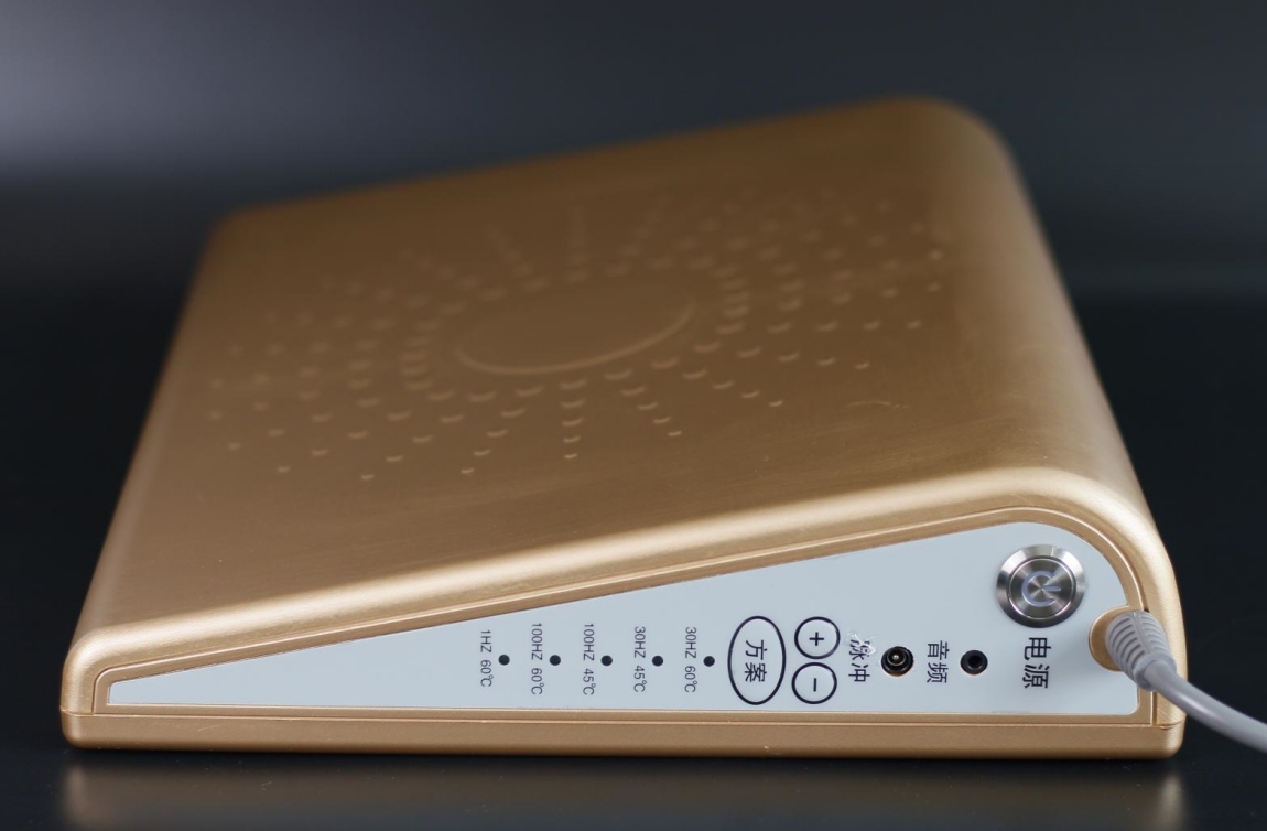 遠(yuǎn)紅外磁電脈沖治療儀（SX-D2）